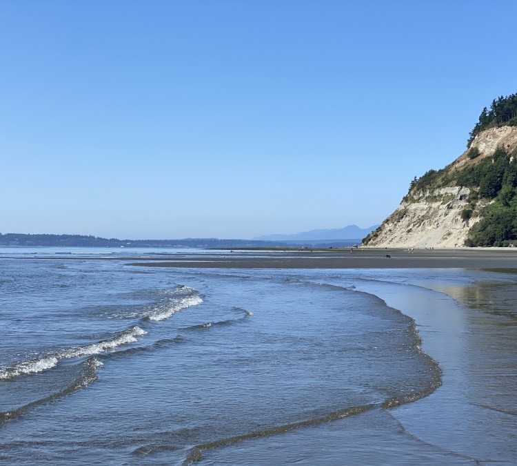 double-bluff-beach-and-off-leash-area-photo
